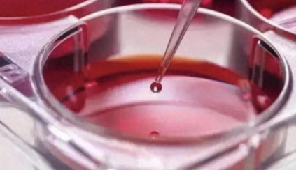 大局为要、实干为基：浙商银行躬身“十四五”，稳迈新征程