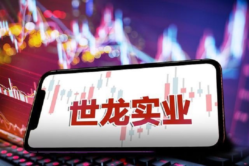 世龙实业股东数量连续下滑，公司遭立案面临投资者索赔