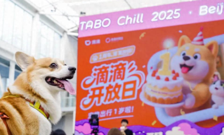 滴滴开放日：宠物出行一周年，闪现北京它博集
