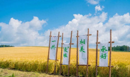 从一粒麦到一杯酒，华润啤酒“国麦振兴”破解ESG三重考题